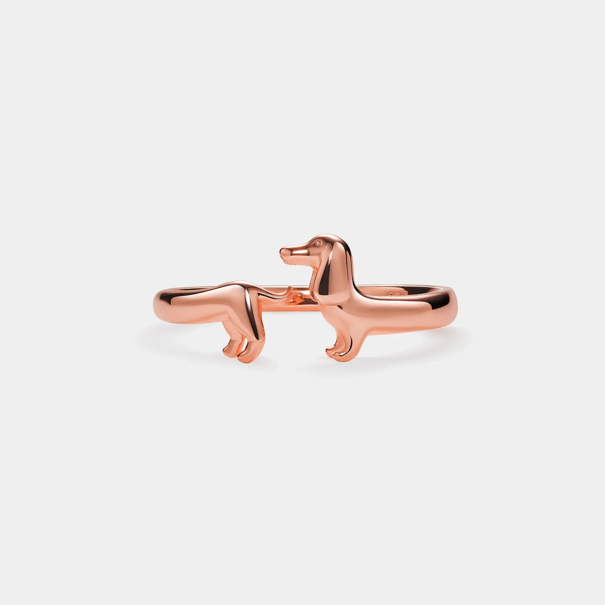 Dachshund Dog Open Ring
