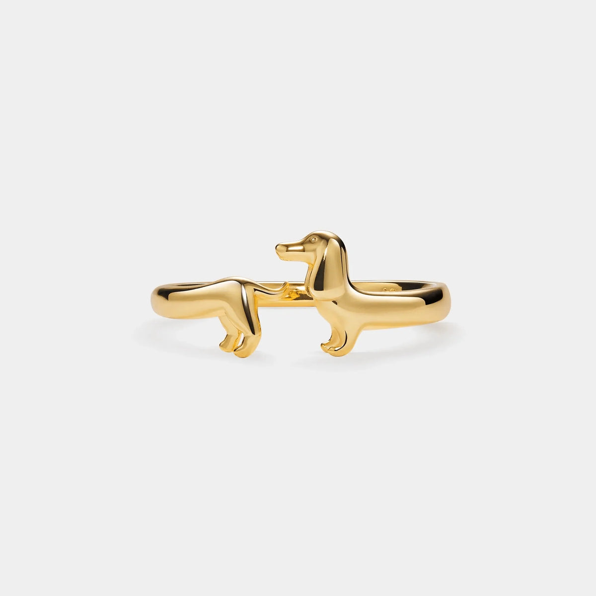 Dachshund Dog Open Ring