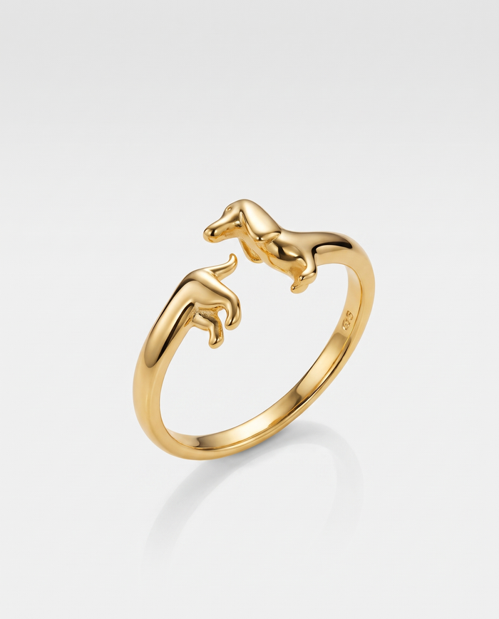Dachshund Dog Open Ring